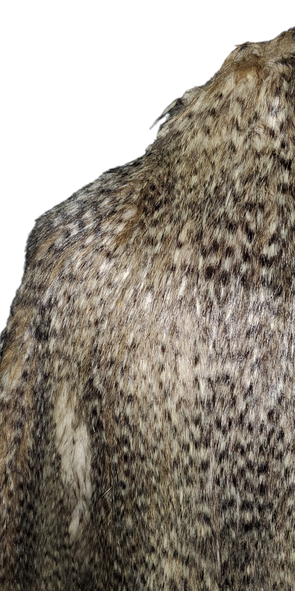Jacob Faux Fur Jacket|Like New!