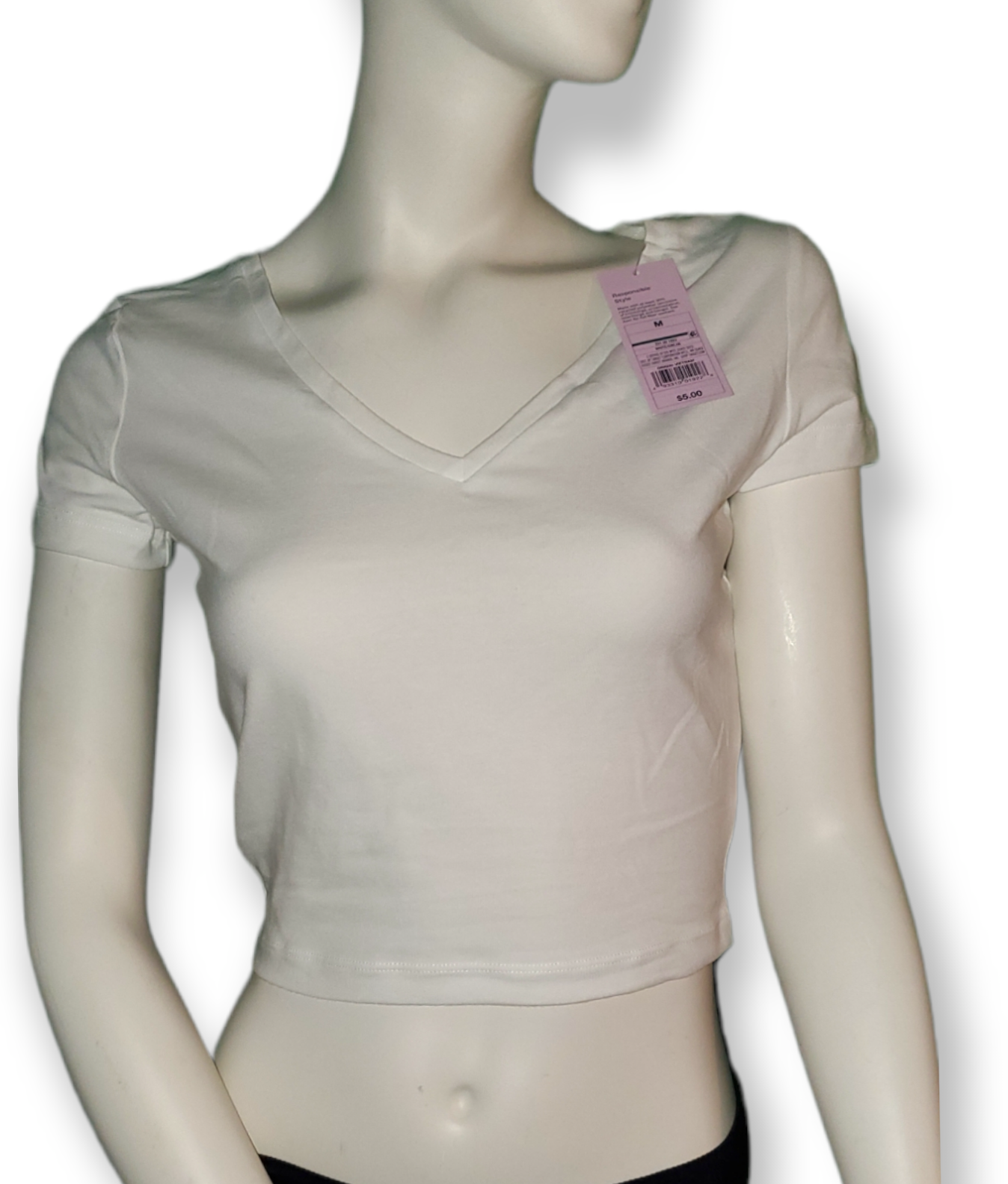 WildFable Crop Top|New
